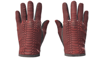Dragon Fists image