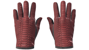 Dragon Fists image