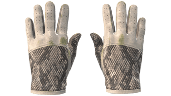 King Snake image