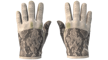 King Snake image