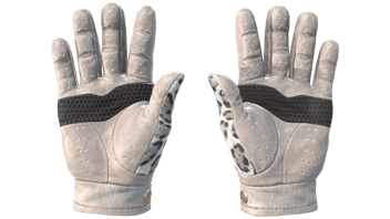 Snow Leopard image