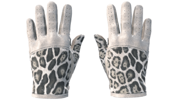 Snow Leopard image