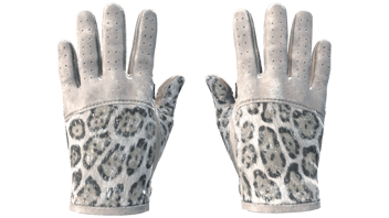 Snow Leopard image