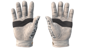 Snow Leopard image