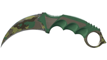 Boreal Forest image