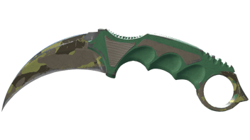 Boreal Forest image
