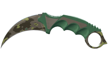 Boreal Forest image
