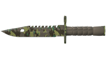 Boreal Forest image