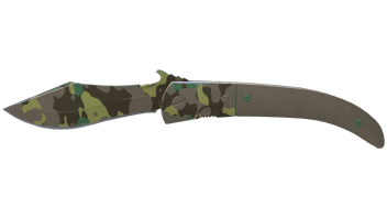 Boreal Forest image