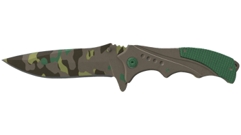 Boreal Forest image