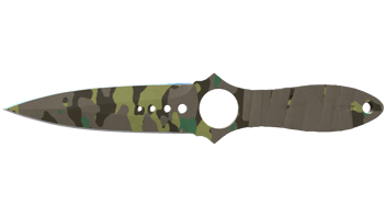 Boreal Forest image