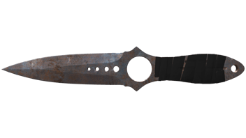 Rust Coat image