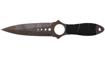 Rust Coat image