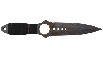 Rust Coat image