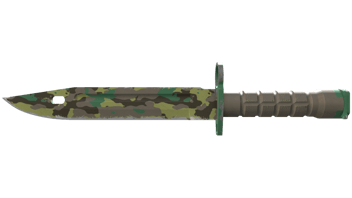 Boreal Forest image