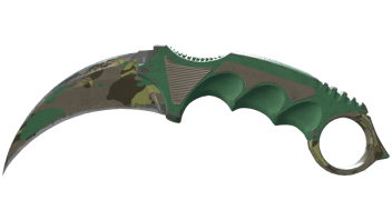 Boreal Forest image