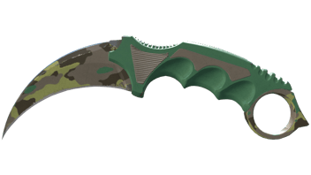 Boreal Forest image