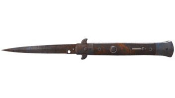 Rust Coat image