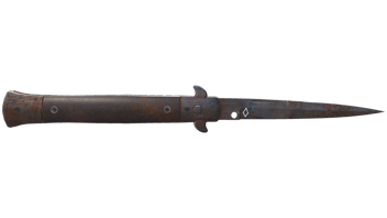 Rust Coat image