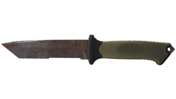 Rust Coat image