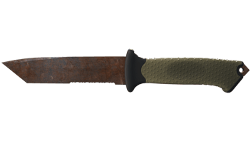 Rust Coat image