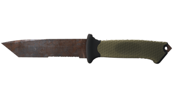 Rust Coat image