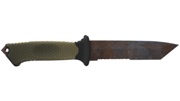 Rust Coat image