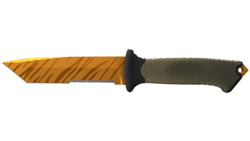 Tiger Tooth image