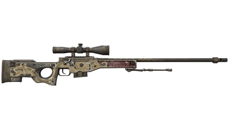 AWP | Duality (Well-Worn)