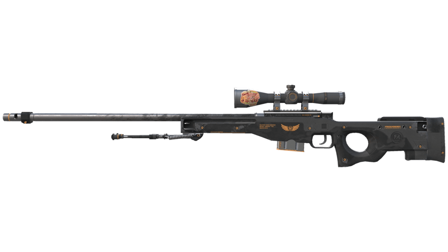 AWP | Elite Build (Field-Tested)