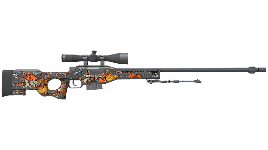 AWP | PAW (Well-Worn)