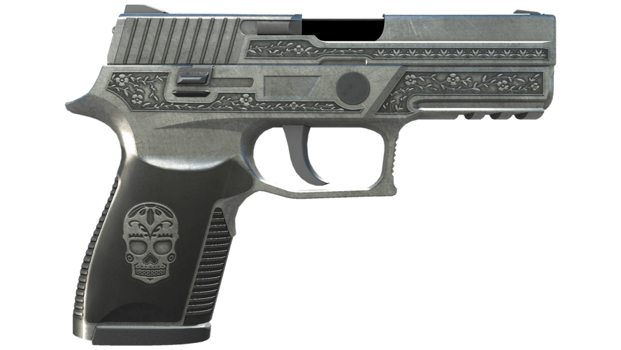 P250 | Cartel (Well-Worn)