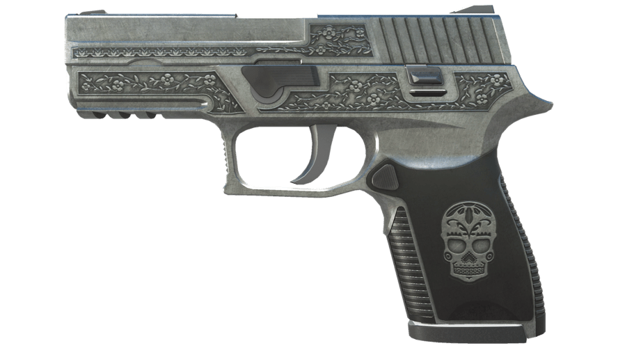P250 | Cartel (Well-Worn)