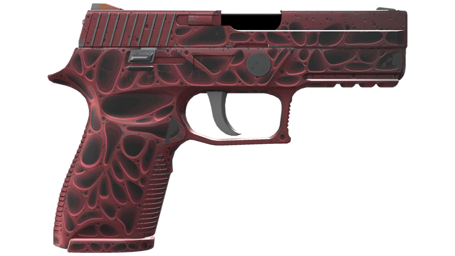 P250 | Contaminant (Field-Tested)