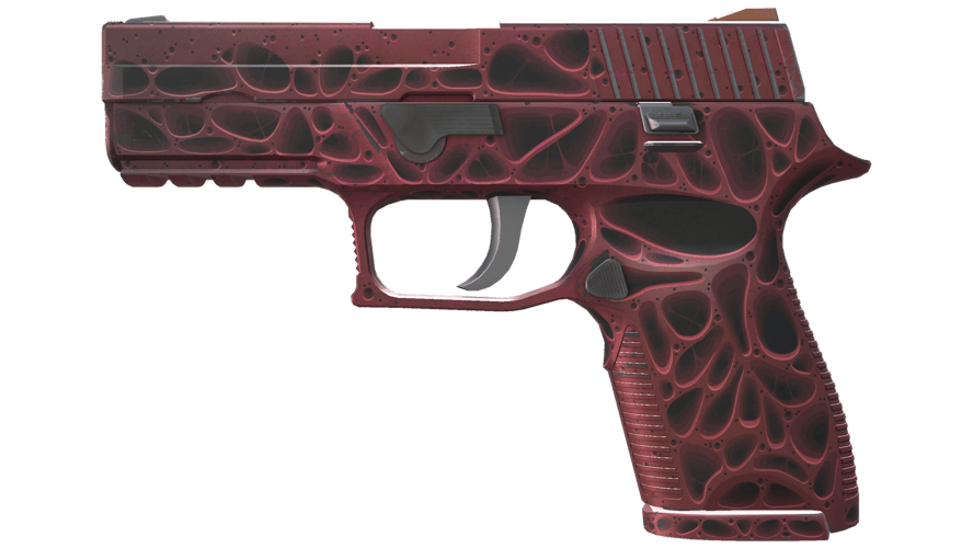 P250 | Contaminant (Minimal Wear)