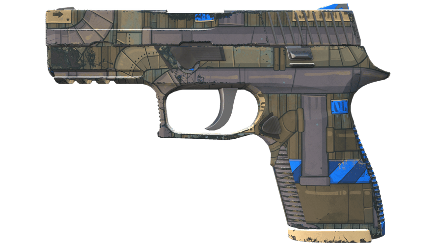P250 | Exchanger (Minimal Wear)