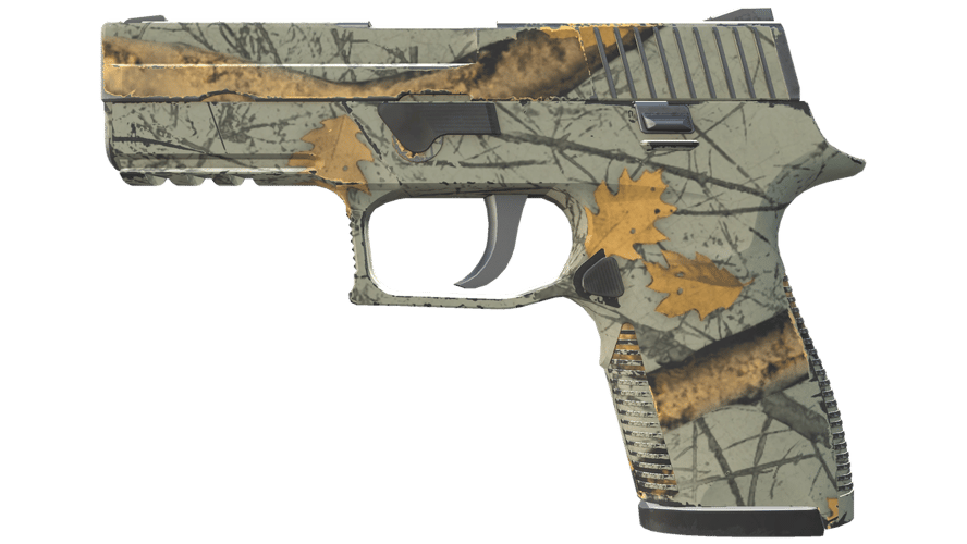 P250 | Modern Hunter (Minimal Wear)