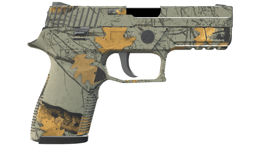 P250 | Modern Hunter (Minimal Wear)