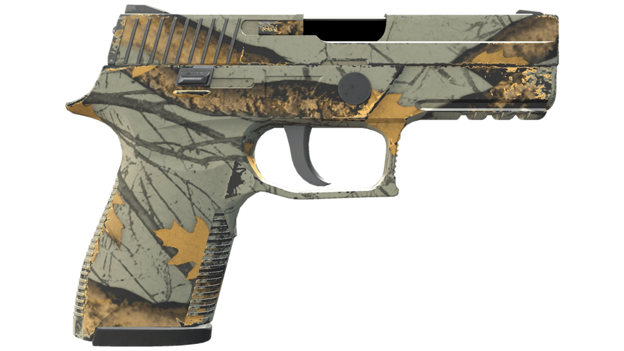 P250 | Modern Hunter (Minimal Wear)