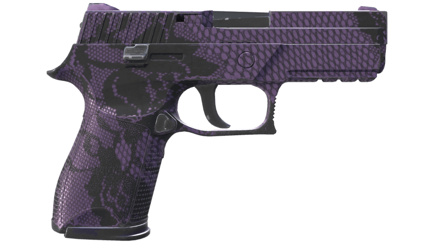 P250 | Plum Netting (Field-Tested)