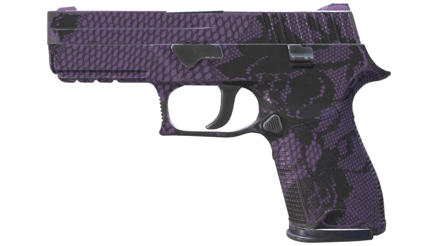 P250 | Plum Netting (Field-Tested)