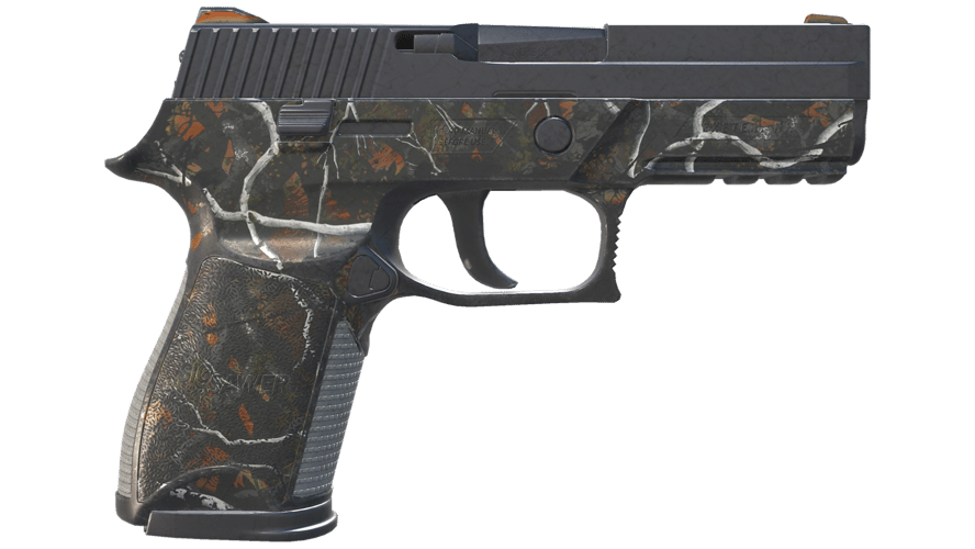 P250 | Small Game (Battle-Scarred)
