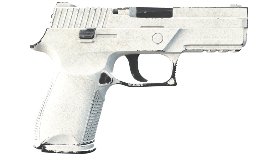 P250 | Whiteout (Field-Tested)