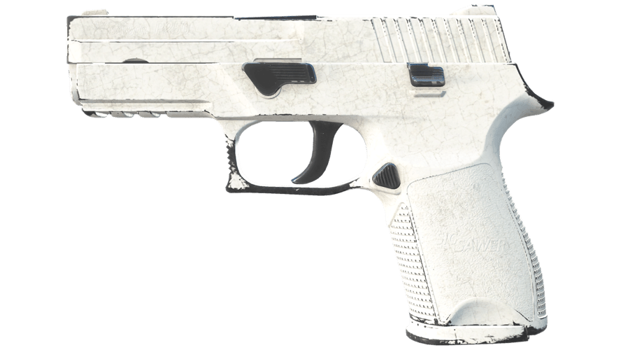 P250 | Whiteout (Field-Tested)