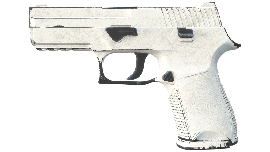 P250 | Whiteout (Field-Tested)