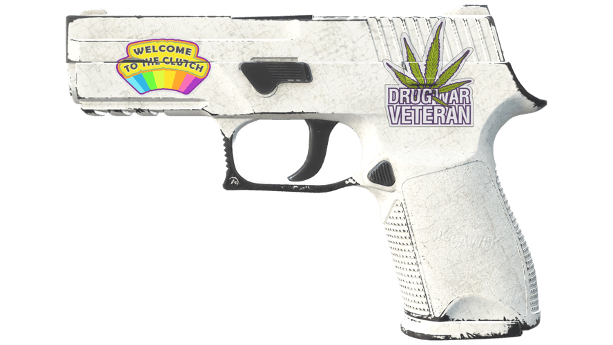 P250 | Whiteout (Field-Tested)