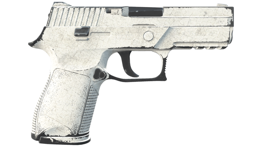 P250 | Whiteout (Well-Worn)
