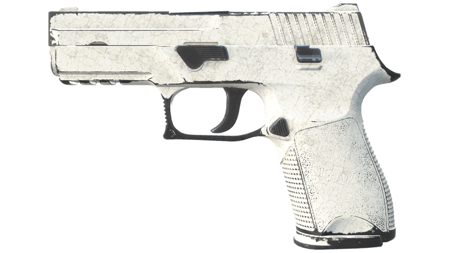 P250 | Whiteout (Well-Worn)