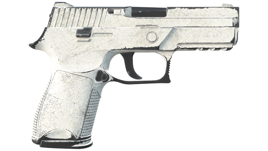P250 | Whiteout (Well-Worn)