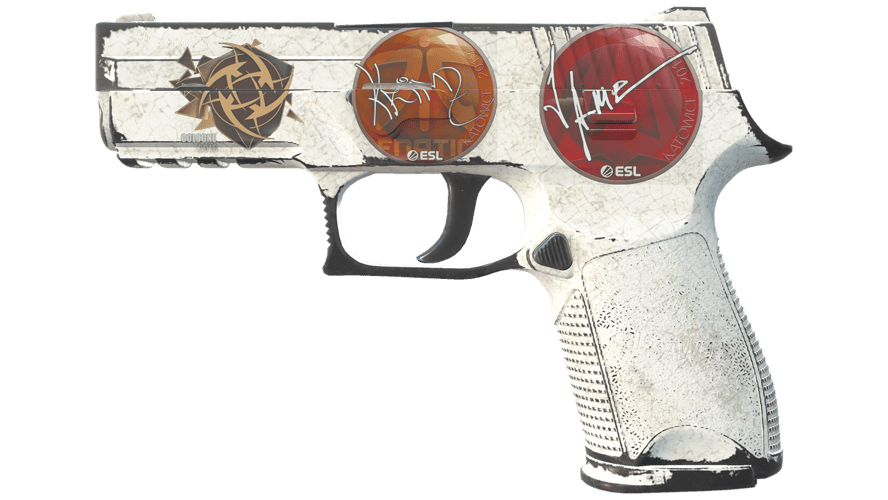 P250 | Whiteout (Well-Worn)